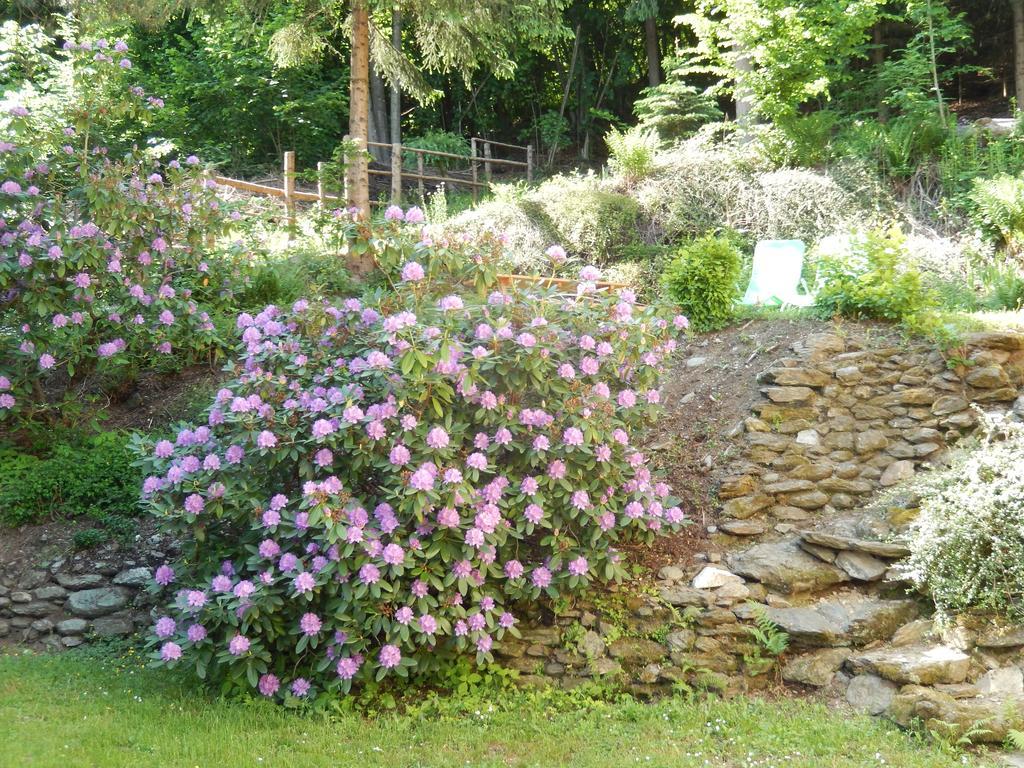 Haus Am Wald Διαμέρισμα Steindorf am Ossiacher See Εξωτερικό φωτογραφία