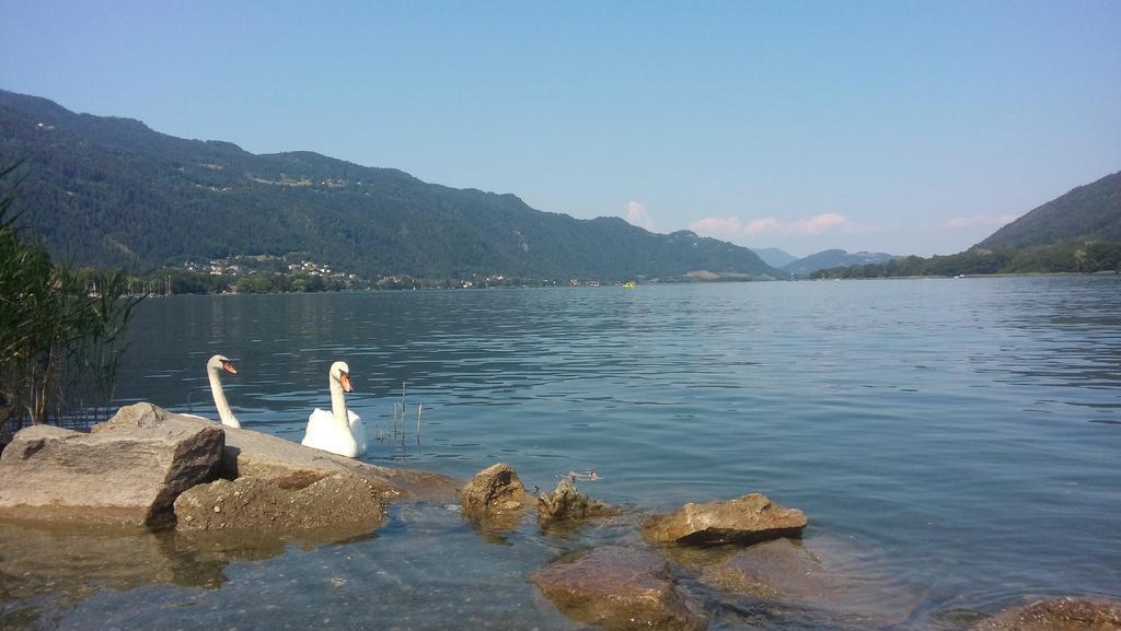 Haus Am Wald Διαμέρισμα Steindorf am Ossiacher See Εξωτερικό φωτογραφία